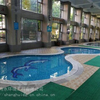 萊蕪芬尼克茲空氣能溫泉加熱設(shè)備 創(chuàng)新設(shè)計(jì)與技術(shù)研發(fā)引領(lǐng)綠色溫泉新時(shí)代